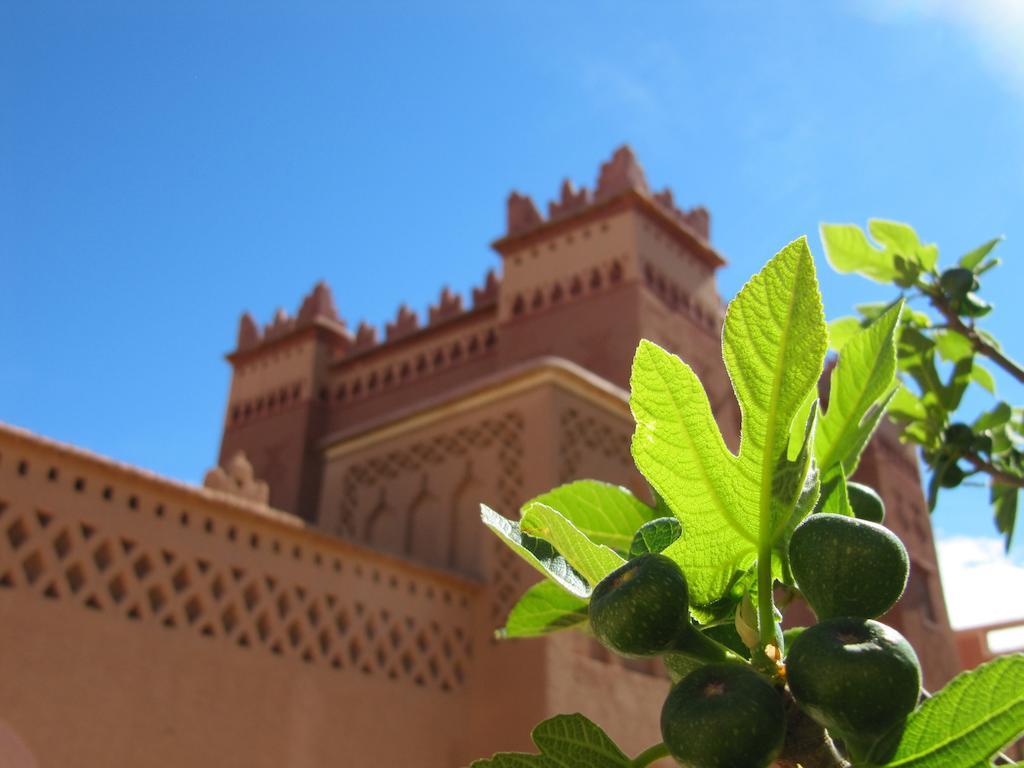 Kasbah Ait Kassi Hotel Boumalne Exterior foto